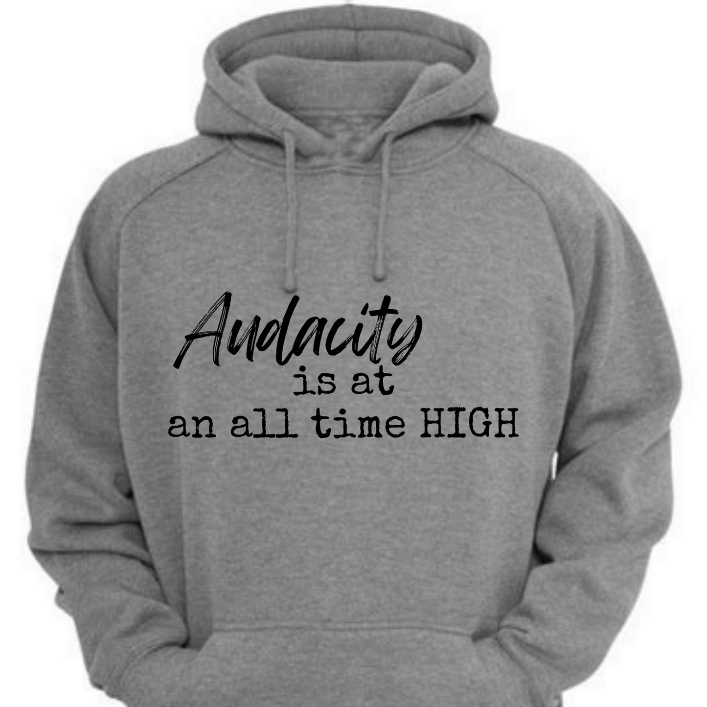Sweatshirt - Audacity is at an all time HIGH
