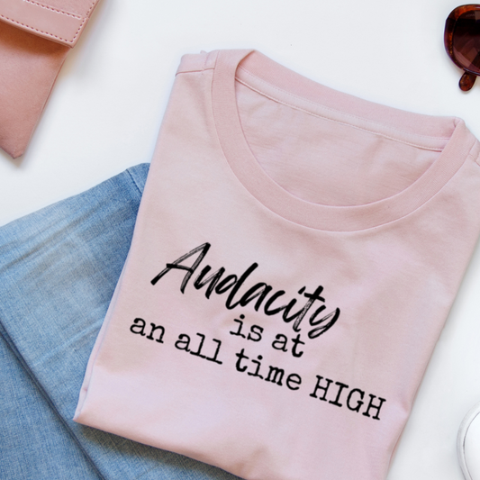 Audacity is at an all time HIGH T-Shirt